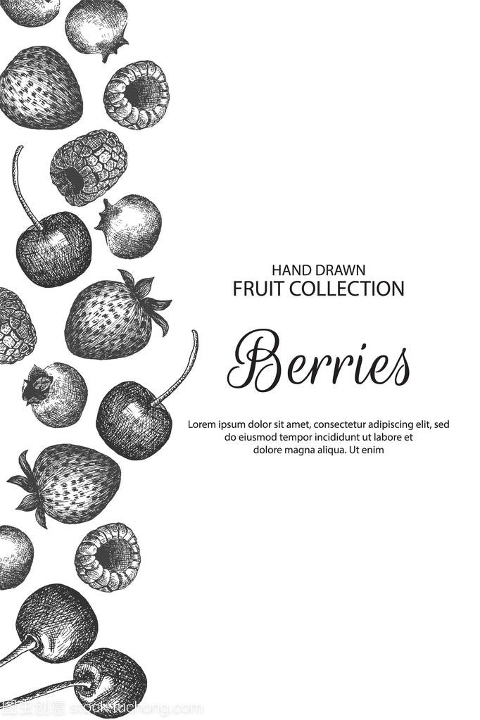 浆果之美 自然与装饰的完美融合