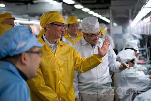 苹果产品代工生产与水果公司的关联解析