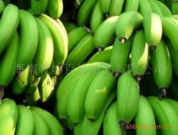 海南乾坤百果贸易香蕉产品列表