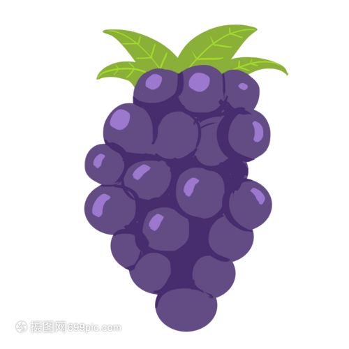 葡萄 水果中的宝石